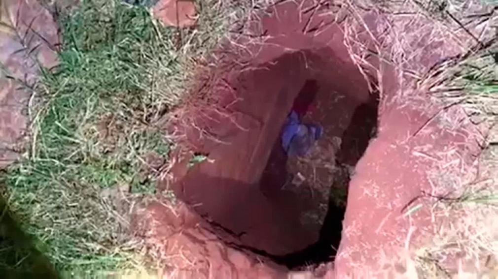 Separaron a 20 funcionarios penitenciarios tras una fuga de una cárcel en Paraguay | Internacionales