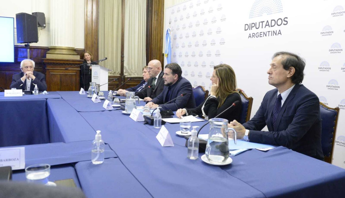 Diputados organizó la jornada "Esclerosis múltiple: escenario actual en Argentina" | Política y economía