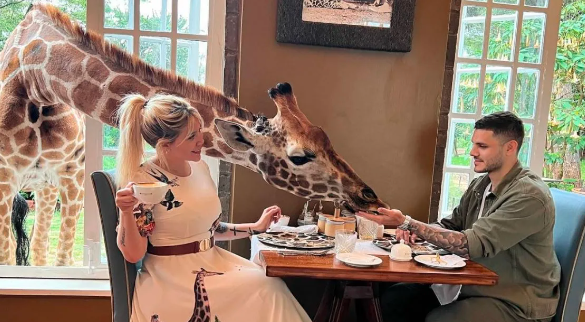 Desayuno de princesa: Wanda toma el café con leche con Icardi y una jirafa de invitada | Espectáculos
