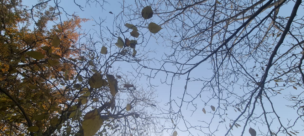 Fresco por la mañana, parcialmente nublado, ascenso de temperatura, máxima 20° | Córdoba