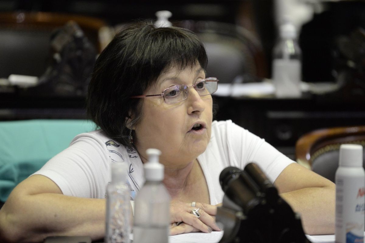 Gasoducto Néstor Kirchner: la oposición también presentó denuncia por irregularidades | Política y economía