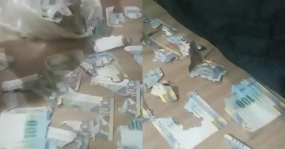 Video viral: una rata se comió los ahorros de una mujer | Internacionales