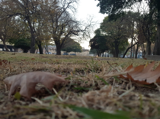 Buen tiempo, nublado, ascenso de temperatura, máxima 20° | Córdoba