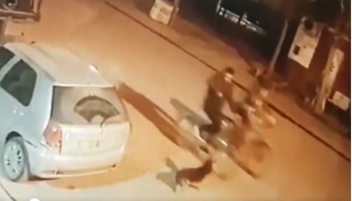 Crueldad: iban en bicicleta, un perro les ladró y lo mataron de un balazo | Actualidad