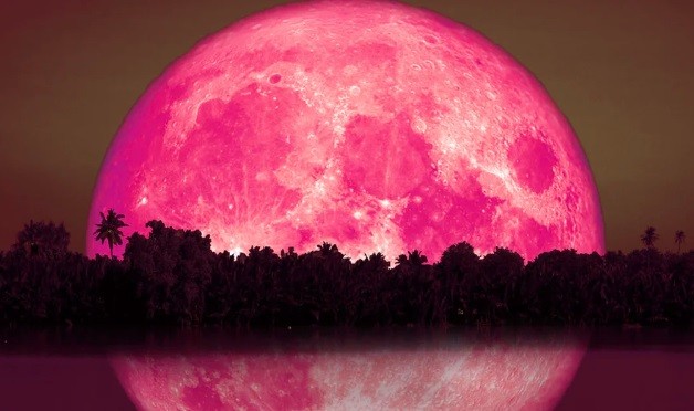 Superluna de fresa: dónde y a qué hora se podrá disfrutar desde Argentina | Actualidad