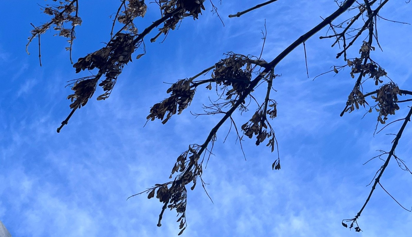 Domingo agradable: el clima para el día del padre | Córdoba