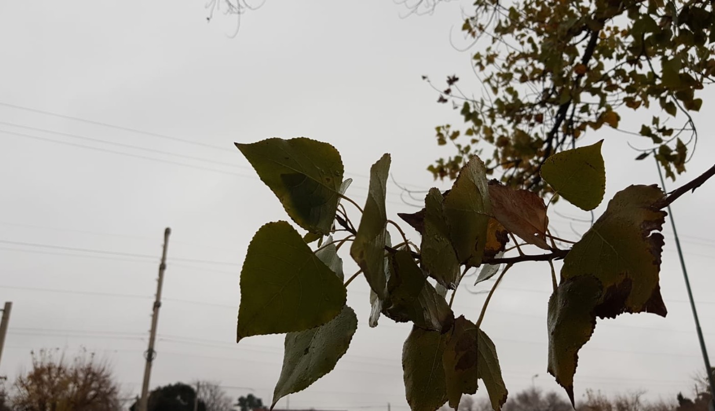 Jornada fría, aumento moderado de temperatura, máxima 14° | Córdoba