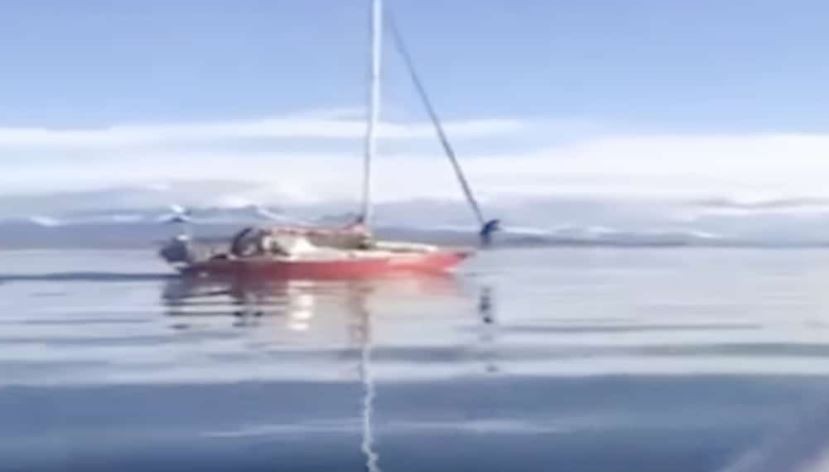 Identifican el velero que embistió una ballena en el Canal Beagle e inician sumario a los tripulantes | Actualidad