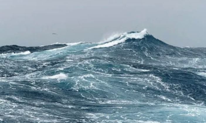 Cambio climático en el mar: Argentina participa de la Conferencia sobre los Océanos de las Naciones Unidas | Actualidad