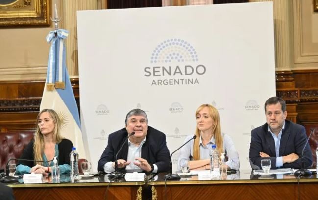 La nueva moratoria provisional tuvo media sanción en el Senado | Política y economía