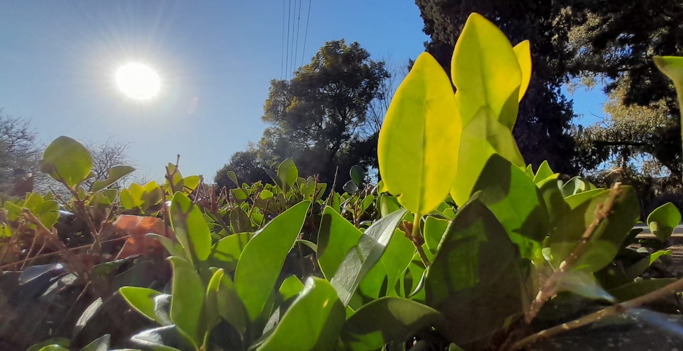 ¿Cómo estará el tiempo en Córdoba este fin de semana? | Córdoba