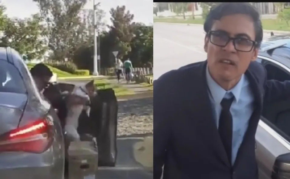 Video: captan a un hombre abandonando a un cachorro y lo increpan | Curiosidades