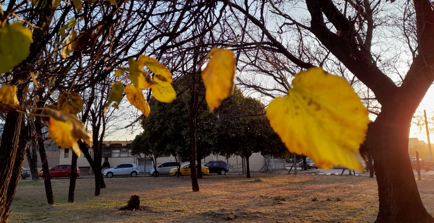 Tiempo en Córdoba: fresco por la mañana y soleado con una máxima de 17° | Córdoba