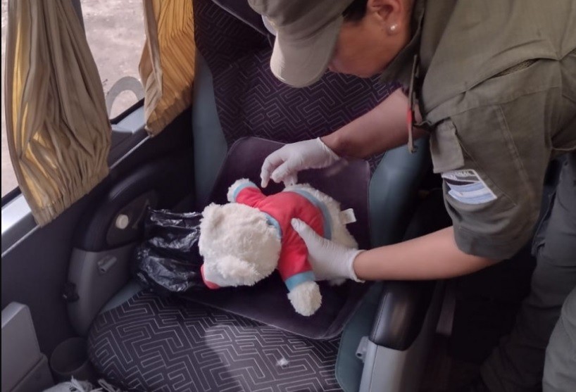 Viajaban desde Bolivia a Buenos Aires con 55 cápsulas de cocaína ocultas en un peluche | Actualidad