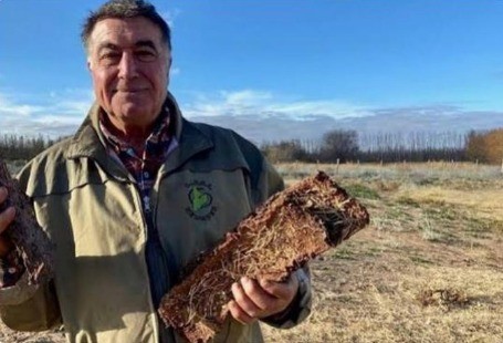 En Neuquén fabrican leña ecológica con restos de fruta | Actualidad