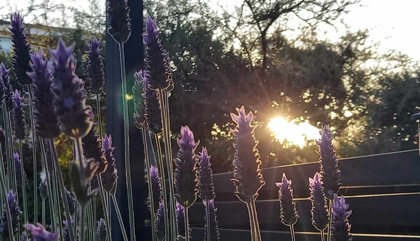 Clima en Córdoba: se espera un día soleado y con viento | Córdoba