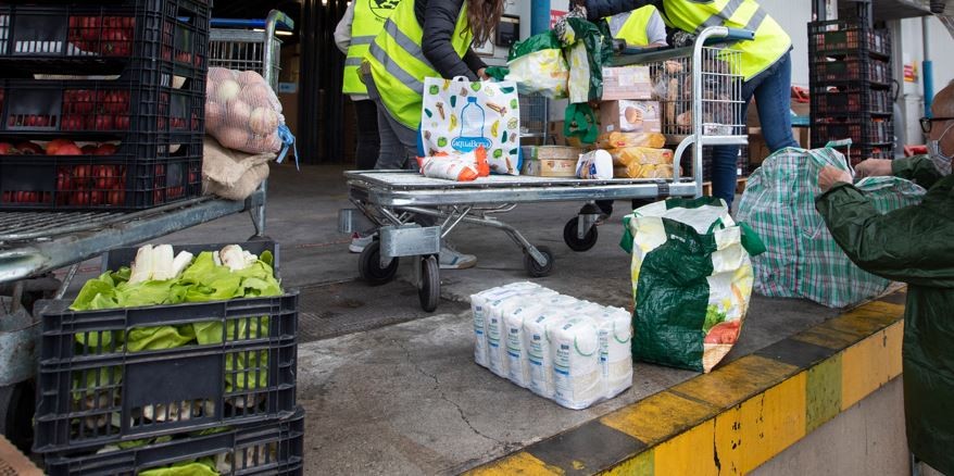 España flexibilizó el ingreso de inmigrantes "sin papeles": los detalles de la reforma | Internacionales