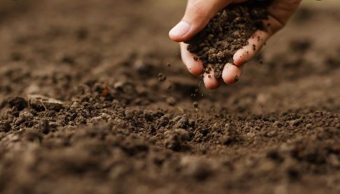 La humanidad ya consumió la producción sustentable anual y "vivirá de prestado" el resto de 2022 | Internacionales