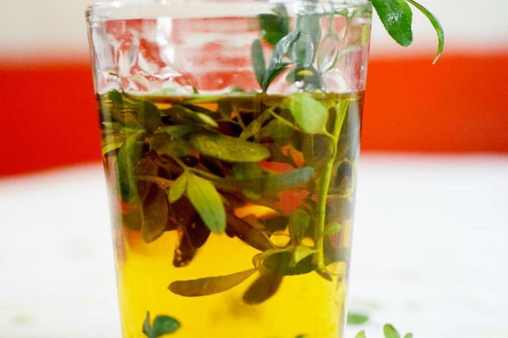 1 de Agosto: ¿por qué se toman tres sorbos de caña con ruda? | Actualidad