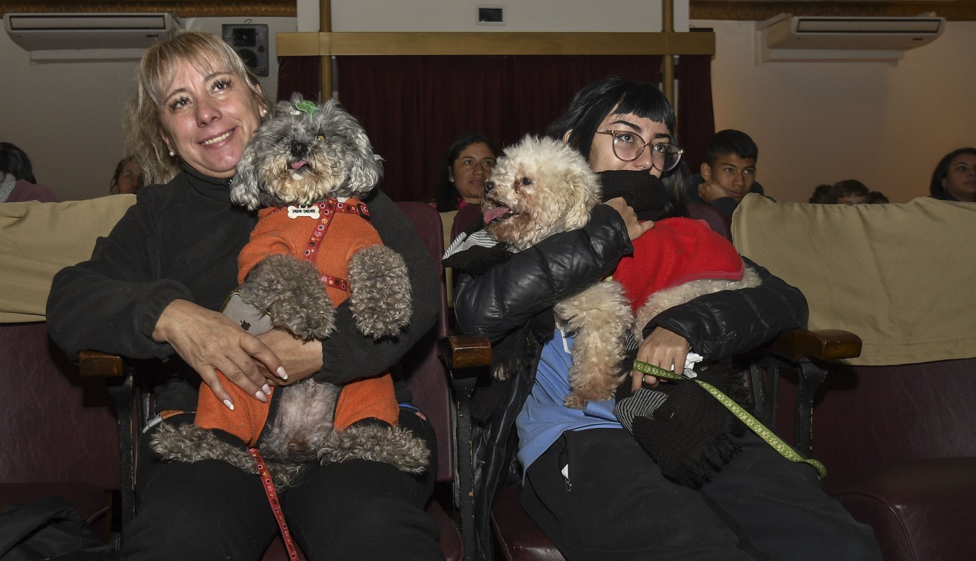 Realizaron en Escobar la primera función de cine para perros de Sudamérica | Curiosidades