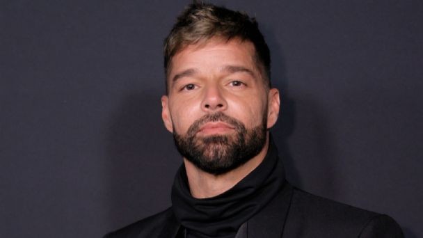 Ricky Martín publicó fotos inéditas de sus mellizos | Espectáculos