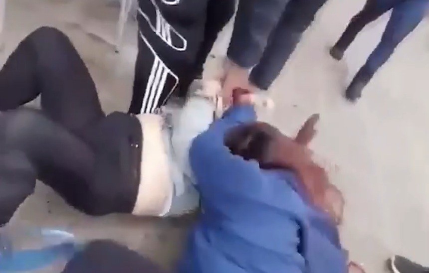 Video: pelea de perros terminó con las dueñas a las trompadas | Córdoba