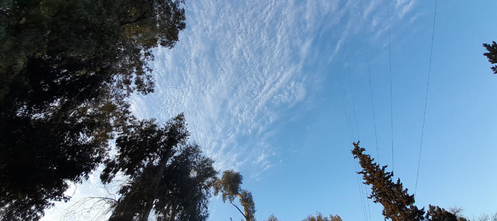Fresco por la mañana, ascenso de temperatura, máxima de 23° | Córdoba