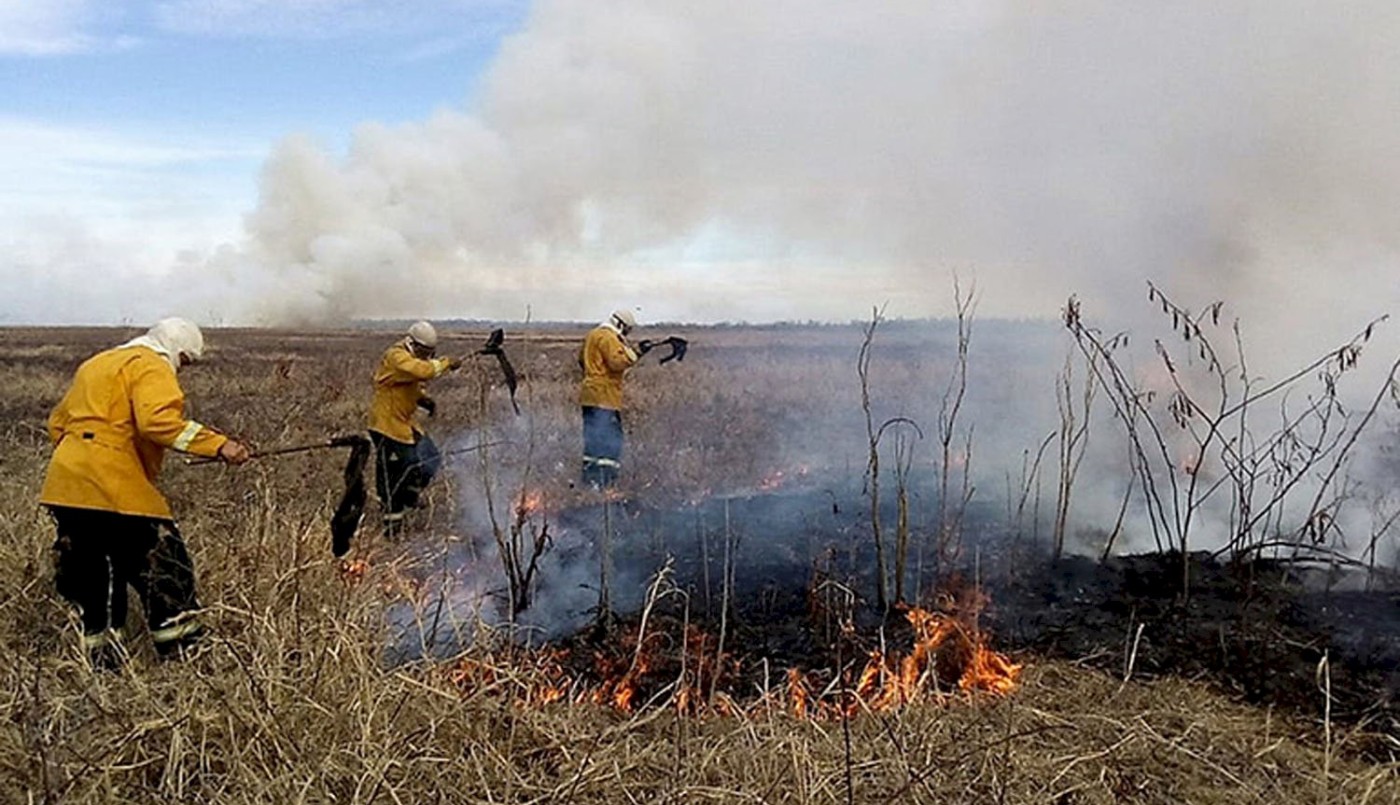 Detuvieron a una cuarta persona por intentar prender fuego en las islas del Paraná | Actualidad