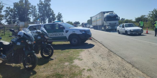 Narco intentó escapar de gendarmería, lo atraparon cuando huía por un campo | Córdoba
