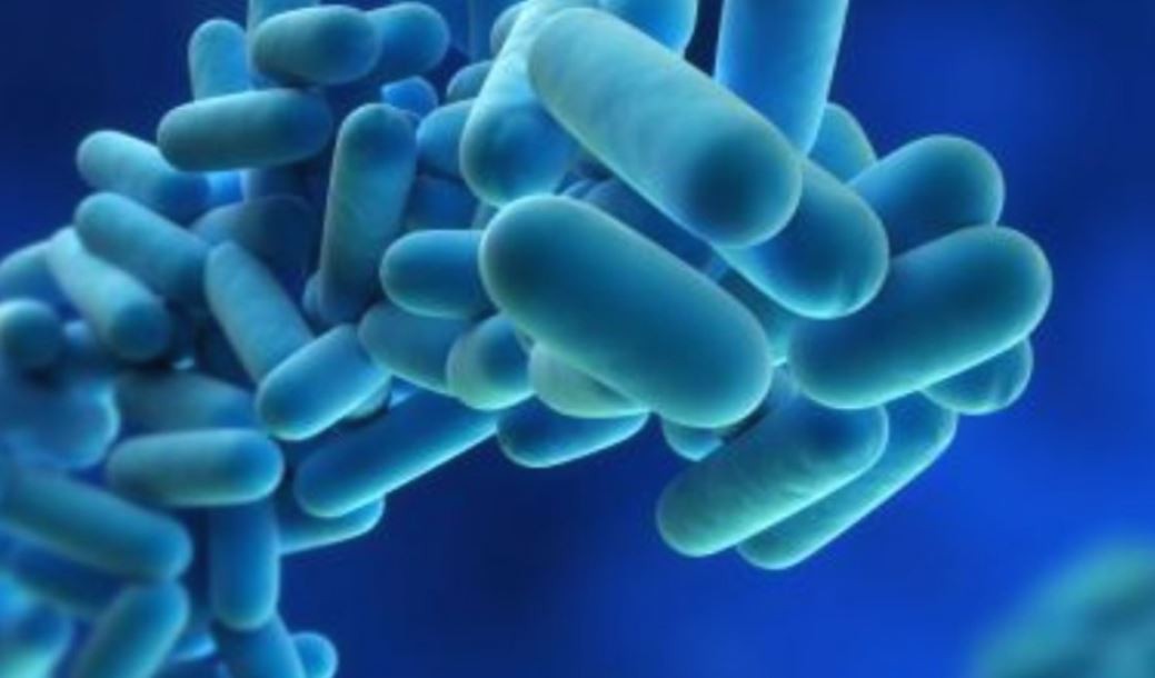 Virus desconocido: qué dicen los primeros resultados de las pruebas del Malbrán | Actualidad