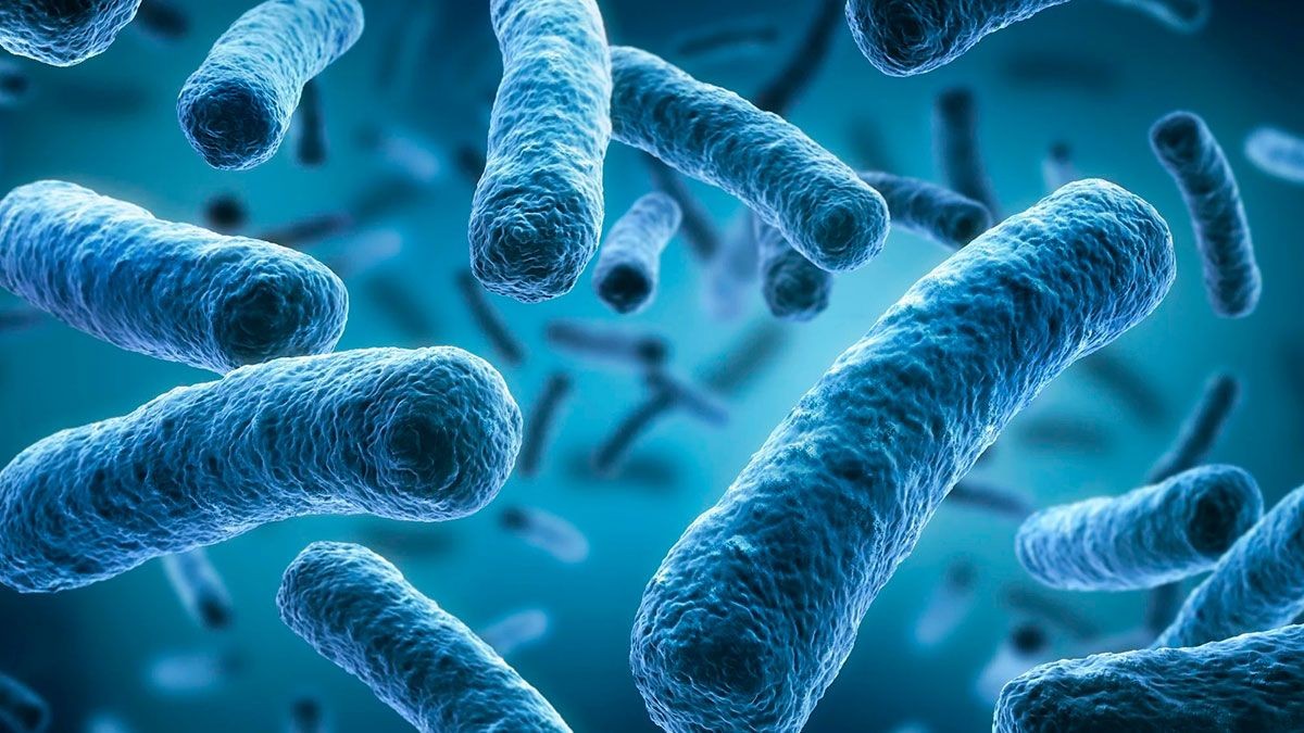 Hay cinco fallecidos por infección con Legionella en Tucumán | Actualidad