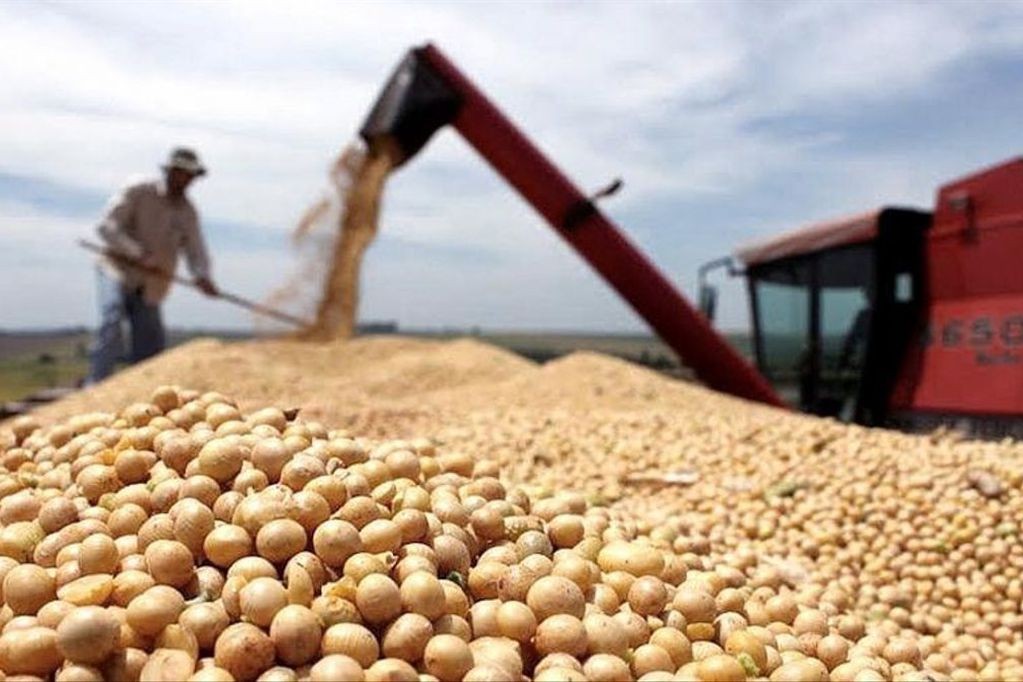 Exportaciones: el Gobierno oficializó el programa que ubica el "dólar soja" a 200 pesos | Política y economía