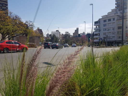 Tiempo cálido, seco, ascenso de temperatura, máxima de 29° | Clima, Naturaleza y Medio ambiente