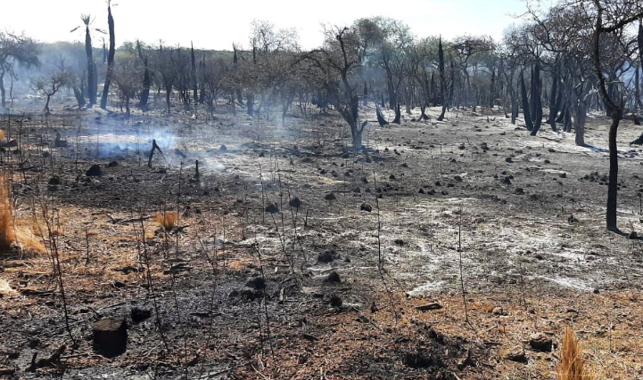 Continúa siendo extremo el riesgo de incendios en la provincia | Córdoba