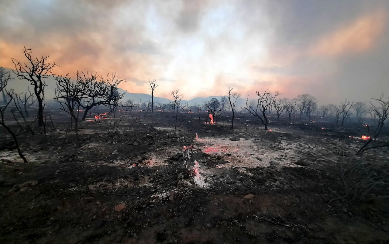 Incendios en Córdoba: son 5 los detenidos por iniciar fuegos | Córdoba