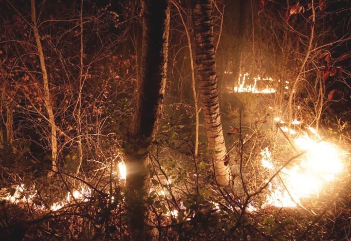 Incendios arrasaron con un millón de hectáreas en Bolivia | Internacionales