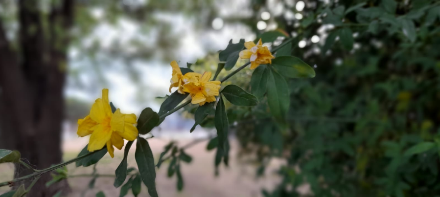 Ambiente frío, lluvioso, poco aumento temperatura, máxima de 19° | Córdoba