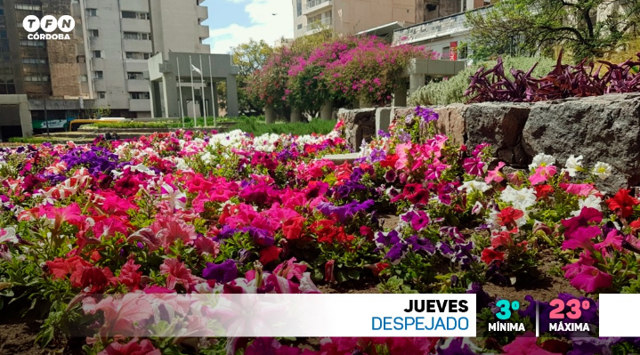 Frío por la mañana, cielo despejado y sol, aumento de temperatura | Clima, Naturaleza y Medio ambiente