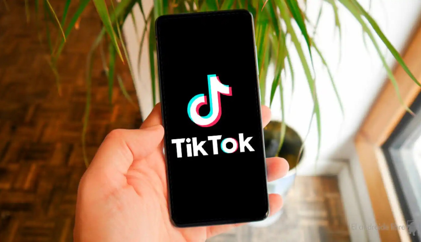 TikTok lanzó un botón de “no me gusta” | Actualidad