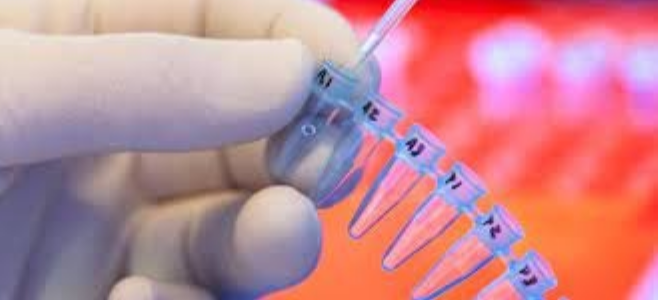 Empresario debe indemnizar a su hija, por desconocerla hasta los 40 años | Córdoba