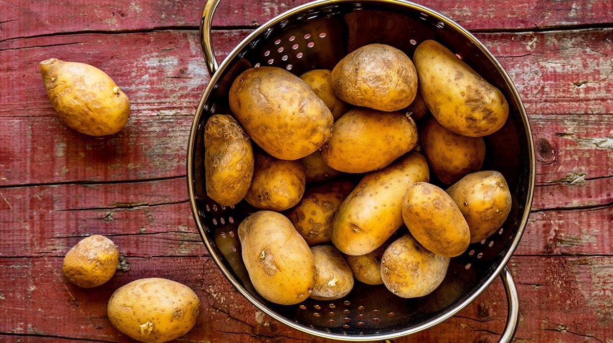 Aumentos en el precio de la papa | Internacionales