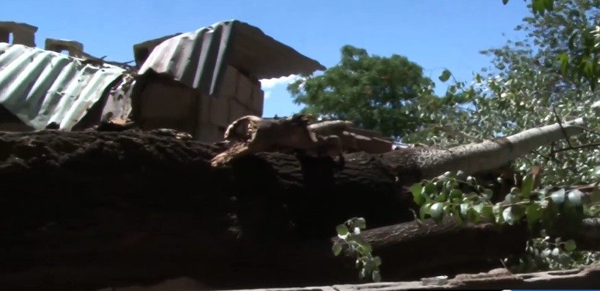 Un árbol cayó sobre una casa en Córdoba | Córdoba