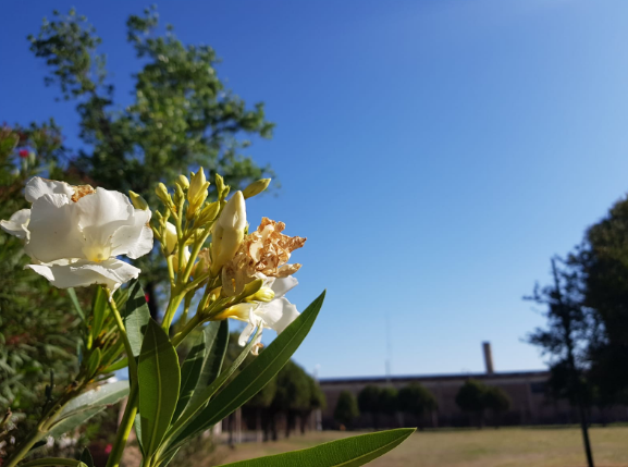 Cielo despejado, ascenso de temperatura, máxima de 31° | Clima, Naturaleza y Medio ambiente