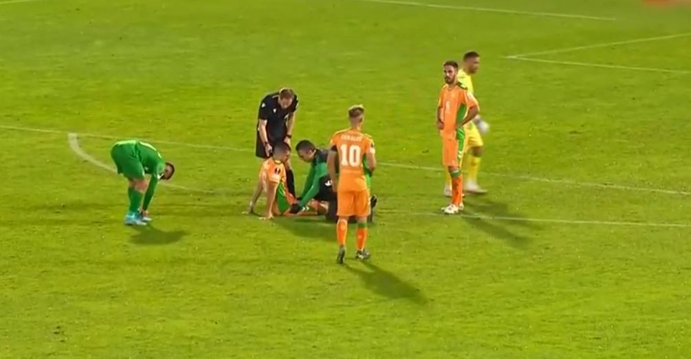 Un nuevo susto para la Selección: Guido Rodríguez salió con una molestia | Deportes