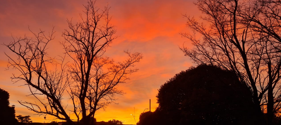 Cielo ligeramente nublado, descenso de temperatura, máxima de 20° | Clima, Naturaleza y Medio ambiente