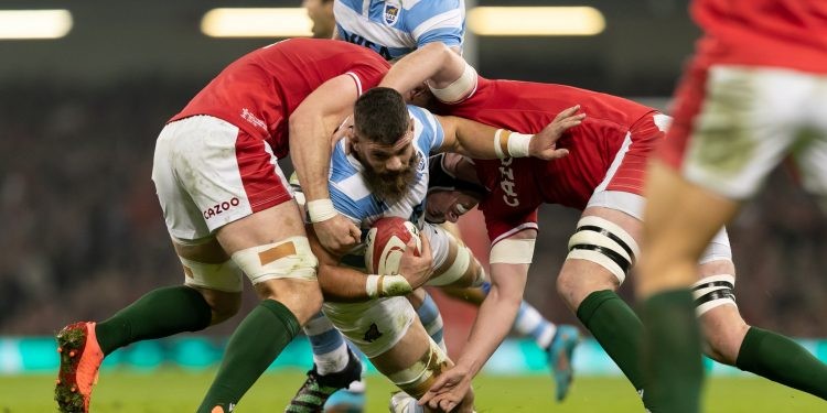 Los Pumas perdieron ante Gales | Deportes