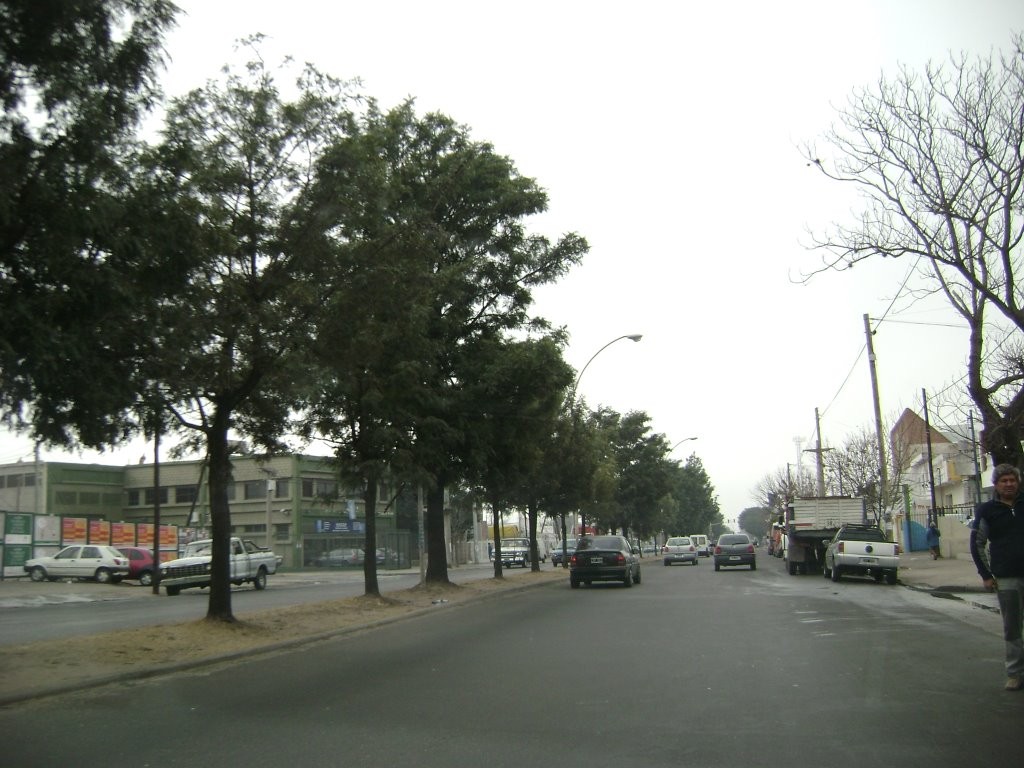 Un joven fue detenido por apedrear un auto con fines de robo | Córdoba