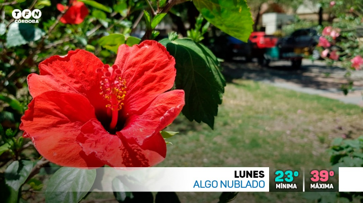 Calor intenso, ascenso de temperatura, máxima 39° | Clima, Naturaleza y Medio ambiente