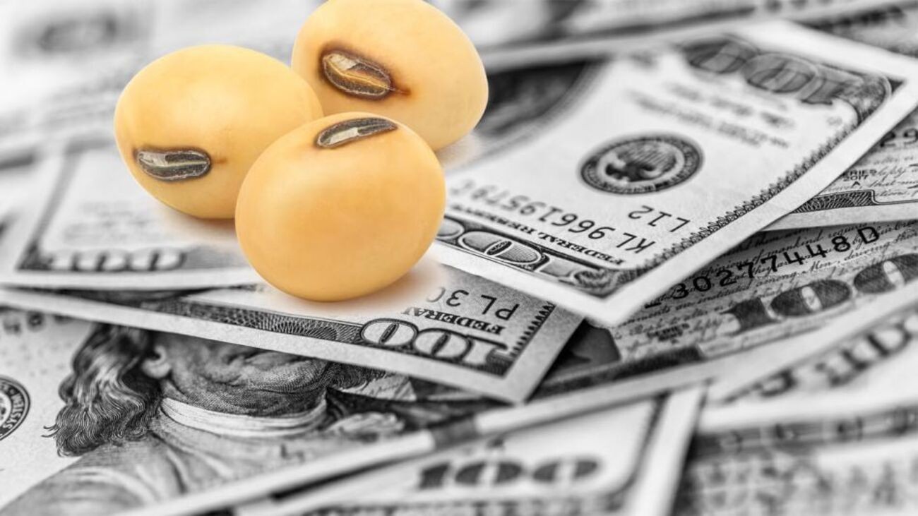 El Gobierno estima que el "dólar soja" llevará a US$10.000 millones de reservas | Política y economía