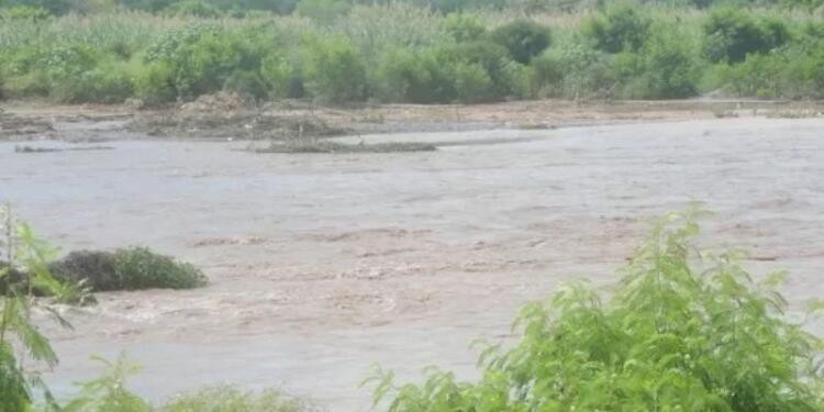 Estado crítico: un niño de seis años habría sido arrojado al río atado de pies y manos | Actualidad